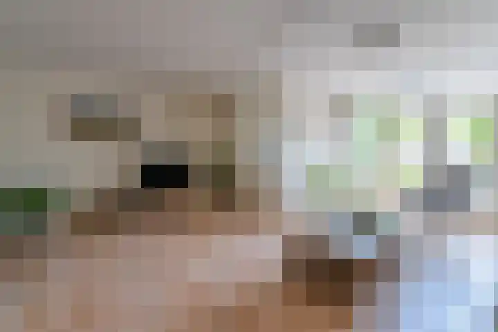 Veldmuislaan 9 Veenendaal thumbnail 9