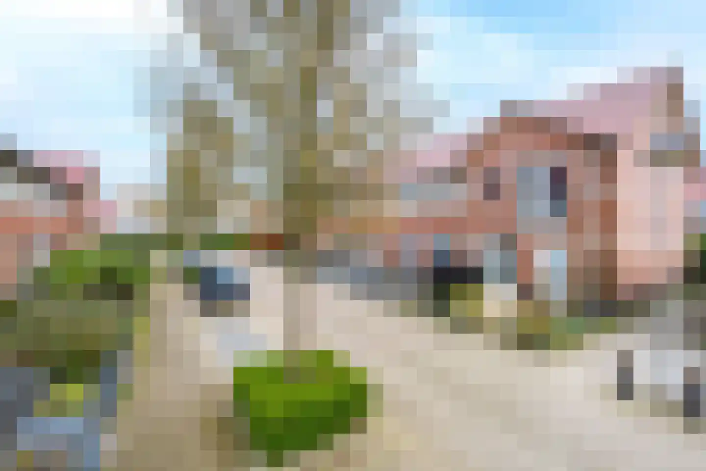 Veldmuisstraat 5 Culemborg thumbnail 4