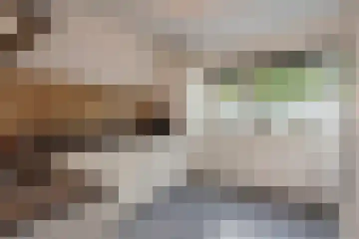 Veldmuizenpad 13 Delft thumbnail 16