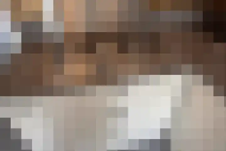 Veldmuizenpad 13 Delft thumbnail 17