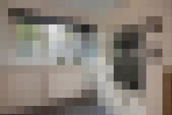 Veldmuizenpad 13 Delft thumbnail 18