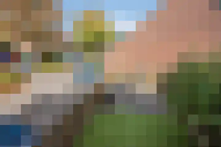 Veldmuizenpad 13 Delft thumbnail 24