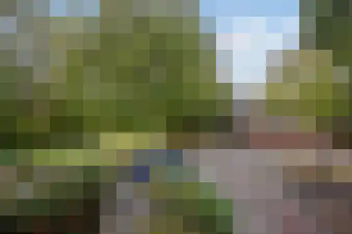 Veldmuizenpad 13 Delft thumbnail 30