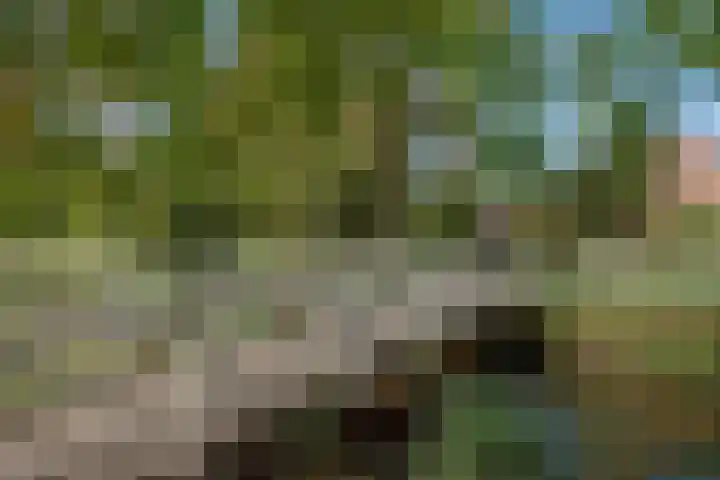 Veldmuizenpad 13 Delft thumbnail 37