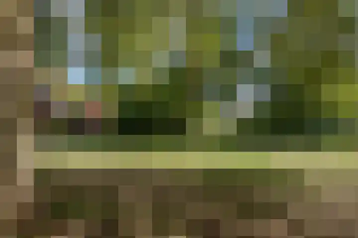 Veldmuizenpad 13 Delft thumbnail 38