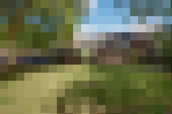 Veldmuizenpad 13 Delft thumbnail 4