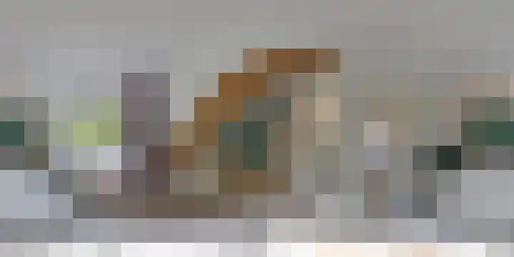 Veldmuizenpad 13 Delft thumbnail 41