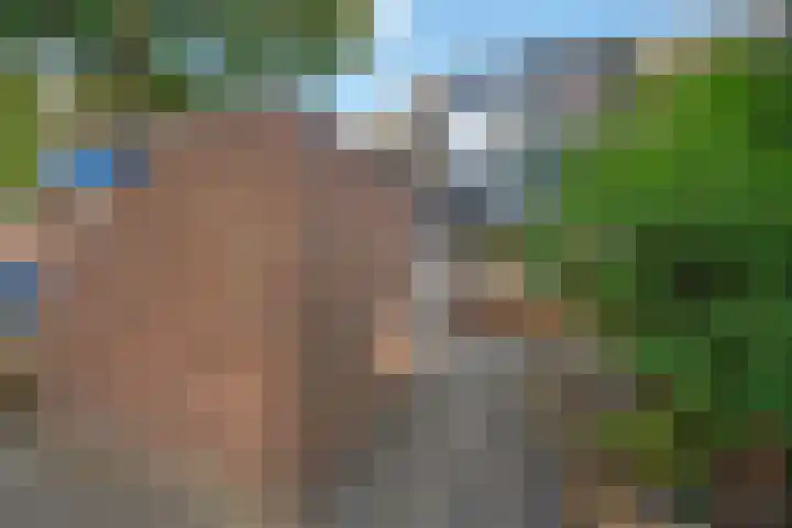 Veldmuizenpad 13 Delft thumbnail 6