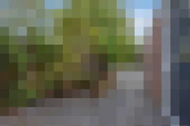 Veldmuizenpad 13 Delft thumbnail 7