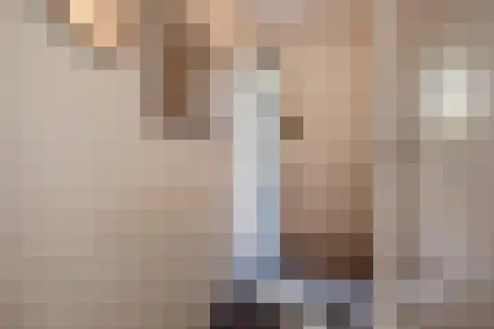 Veldmuizenpad 13 Delft thumbnail 8