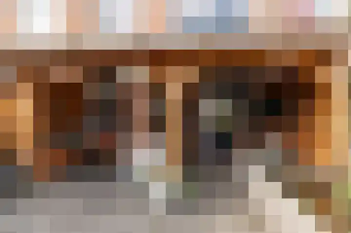 Veldoven 13 Wijk bij Duurstede thumbnail 22