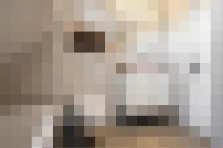Veldoven 13 Wijk bij Duurstede thumbnail 33
