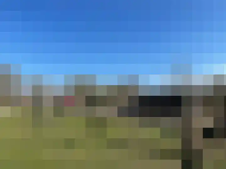 Veldoven 13 Wijk bij Duurstede thumbnail 43