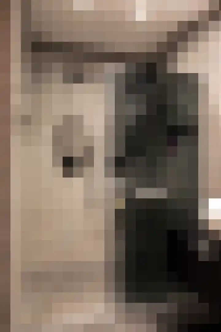 Veldoven 21 Cuijk thumbnail 24