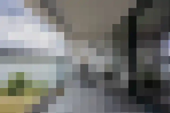 Veldoven 23 Cuijk thumbnail 16