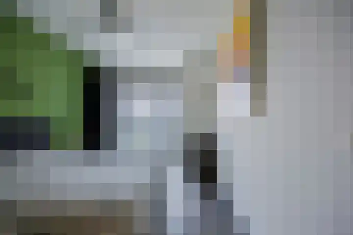 Veldoven 23 Cuijk thumbnail 21