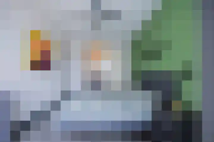 Veldoven 23 Cuijk thumbnail 22