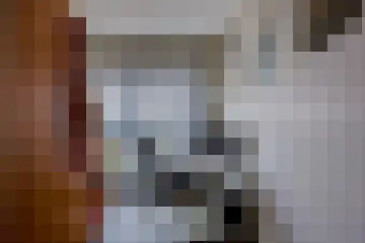 Veldoven 23 Cuijk thumbnail 28