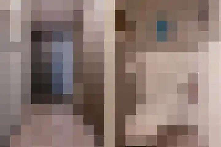 Veldoven 23 Cuijk thumbnail 33