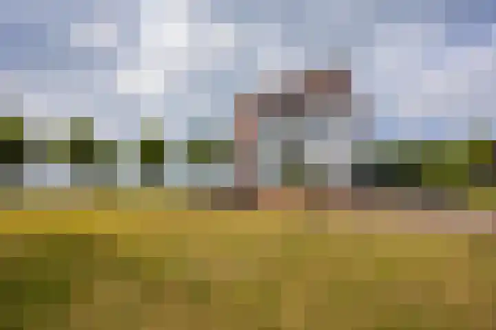 Veldoven 23 Cuijk thumbnail 37