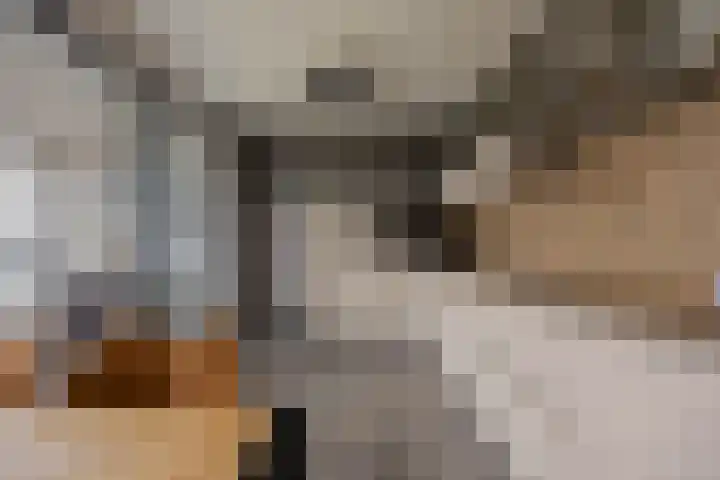 Veldoven 23 Cuijk thumbnail 5