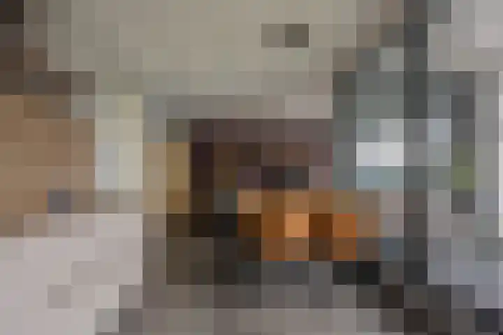 Veldoven 23 Cuijk thumbnail 6