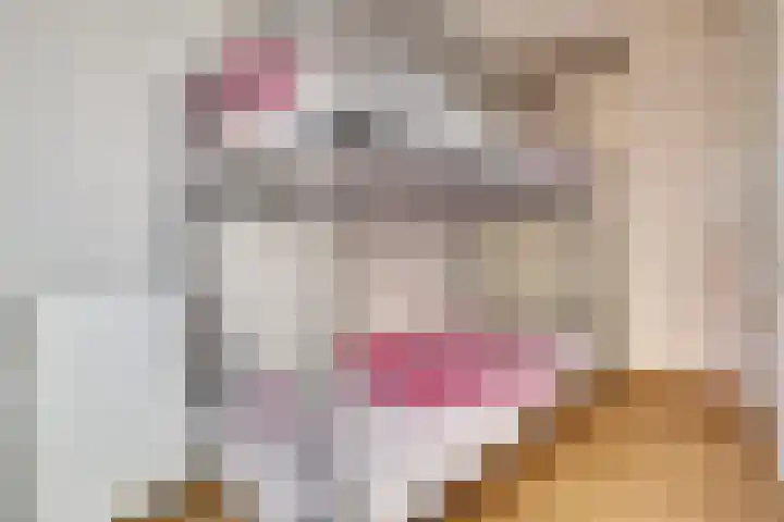Veldoven 25 Cuijk thumbnail 31