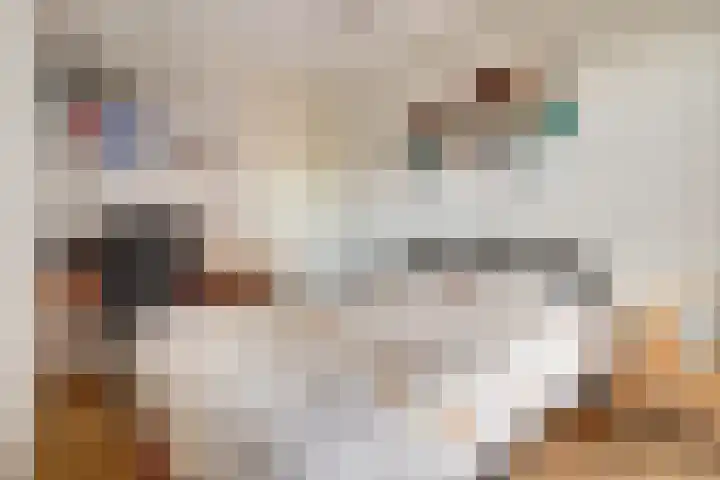 Veldoven 25 Cuijk thumbnail 33