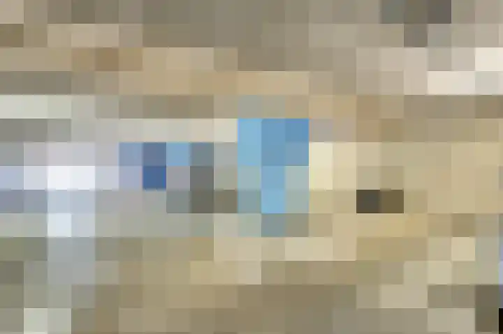 Veldoven 25 Cuijk thumbnail 39