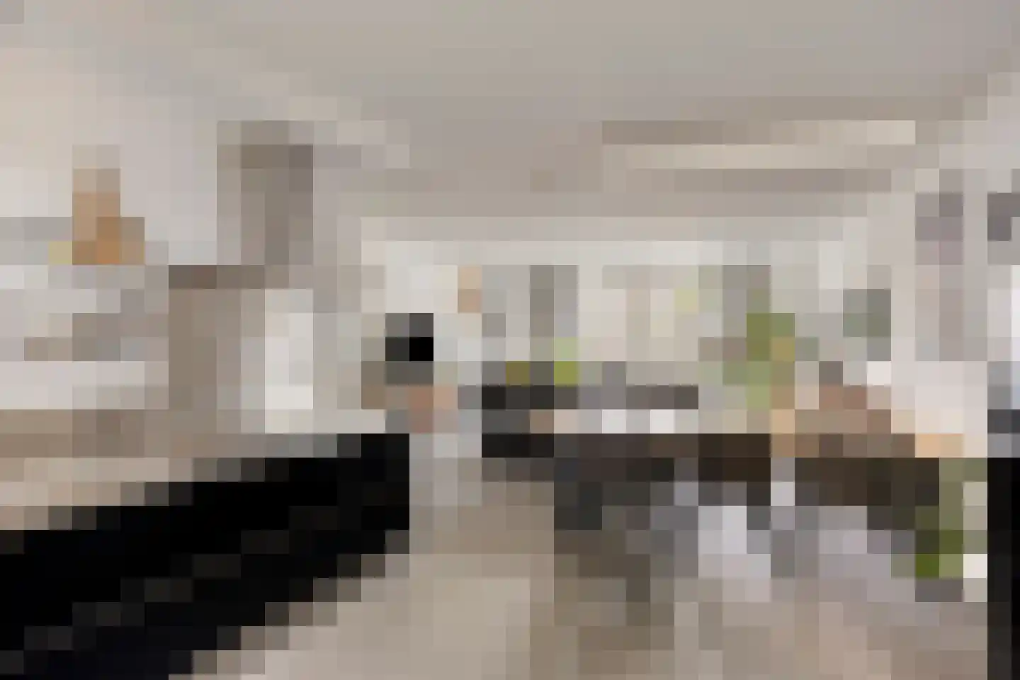 Veldoven 30 Cuijk thumbnail 17