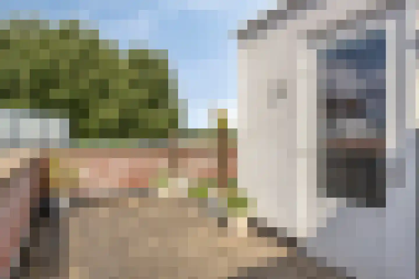 Veldoven 30 Cuijk thumbnail 29