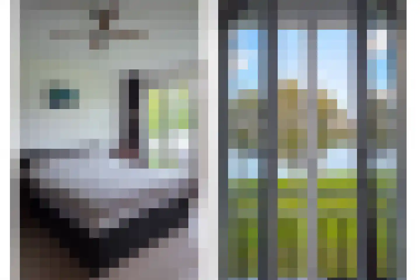 Veldoven 34 Cuijk thumbnail 12