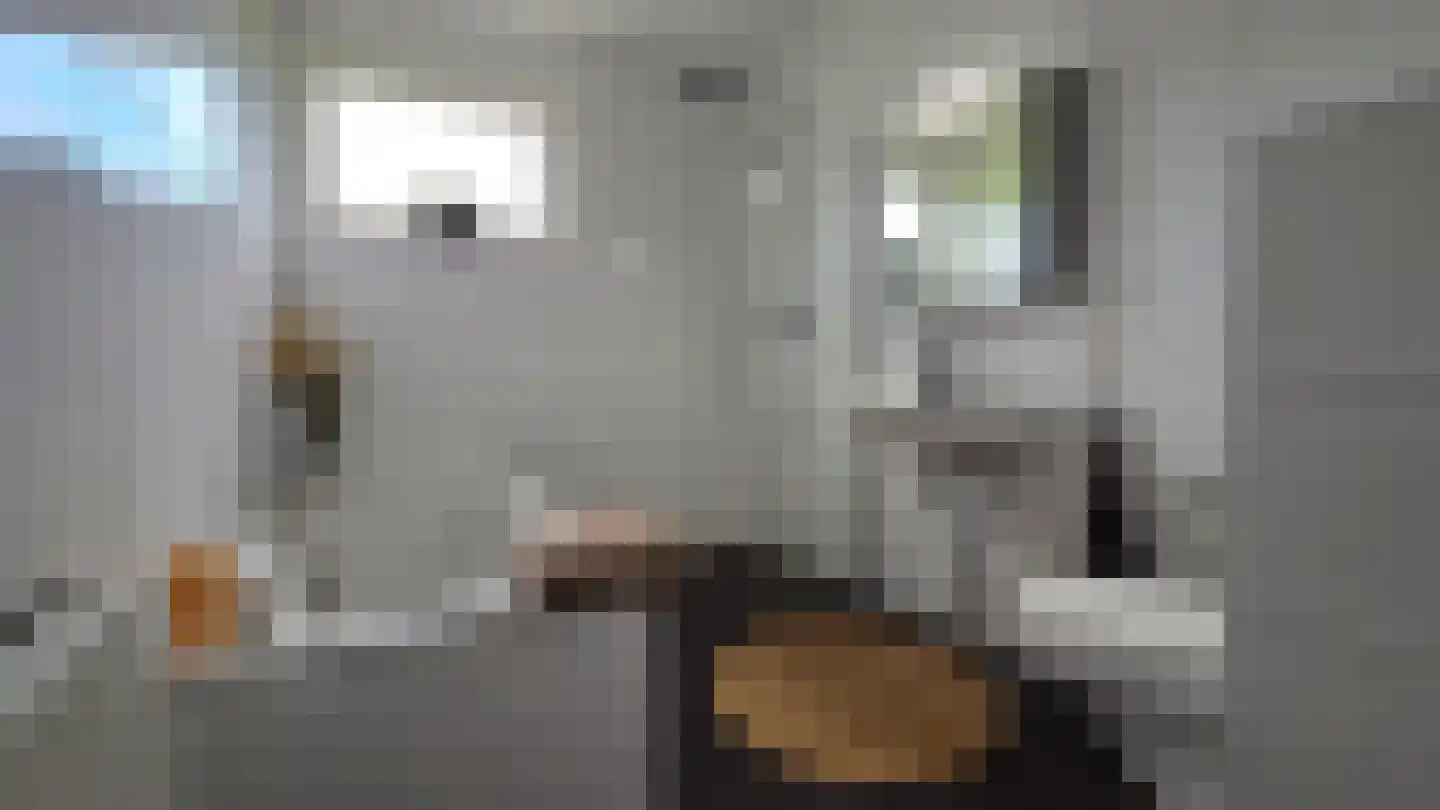 Veldoven 34 Cuijk thumbnail 20