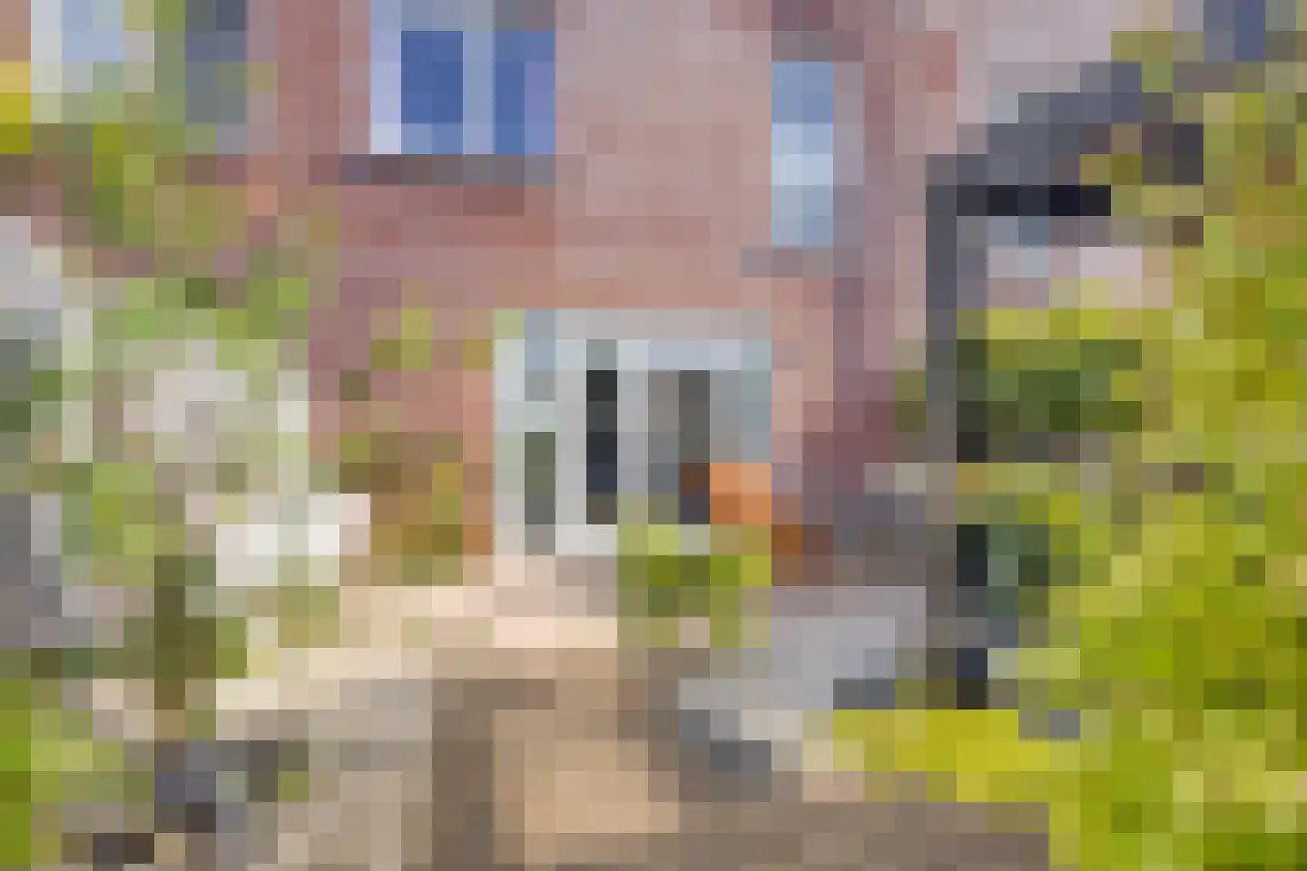 Veldoven 34 Cuijk thumbnail 27