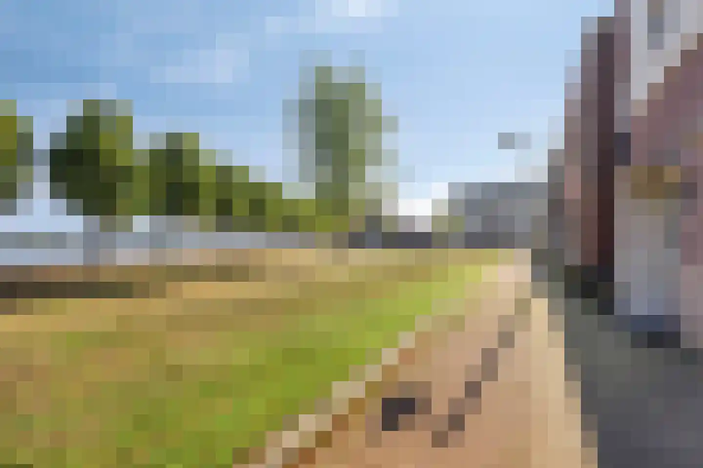 Veldoven 34 Cuijk thumbnail 28