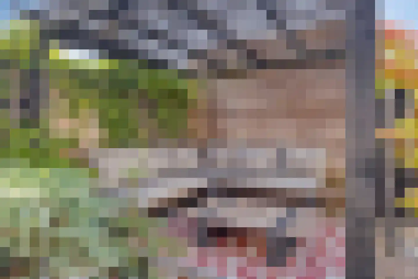 Veldoven 34 Cuijk thumbnail 5
