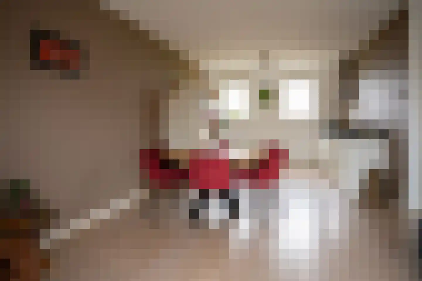 Veldoven 34 Cuijk thumbnail 7