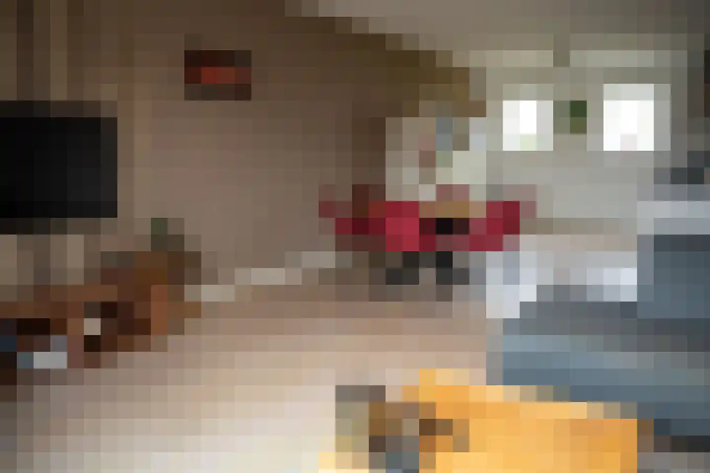 Veldoven 34 Cuijk thumbnail 8