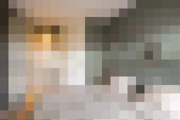 Veldoven 4 Winsum thumbnail 21