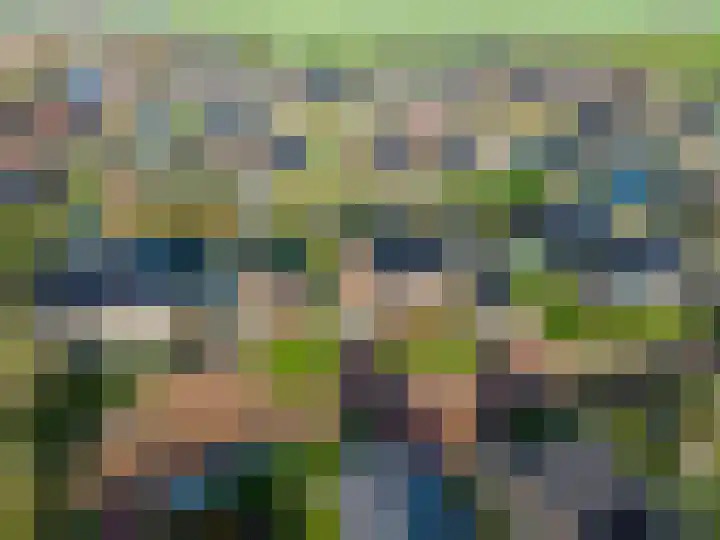 Veldoven 4 Winsum thumbnail 33