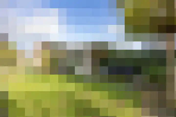 Veldoven 4 Winsum thumbnail 35