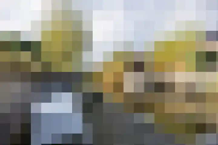 Veldoven 4 Winsum thumbnail 39