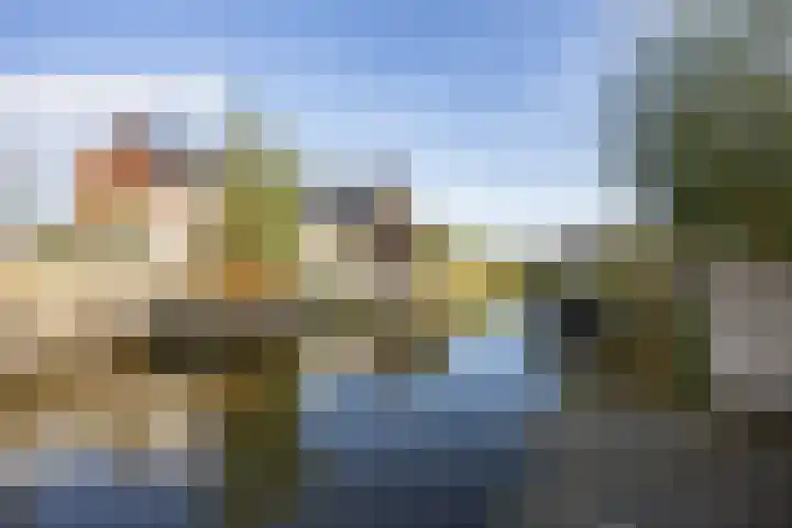 Veldoven 4 Winsum thumbnail 4