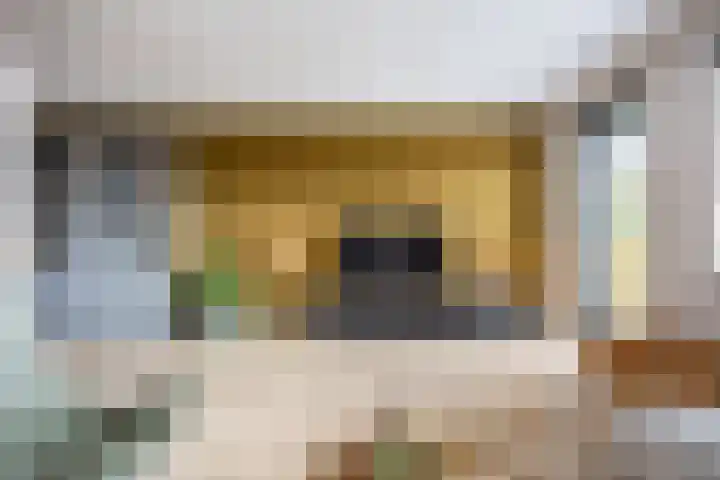 Veldoven 4 Winsum thumbnail 9