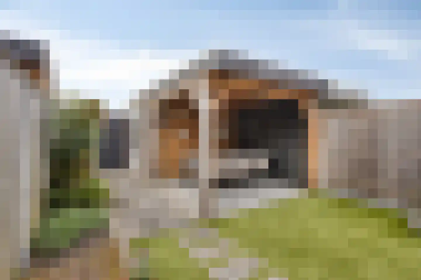 Veldoven 41 Veghel thumbnail 21