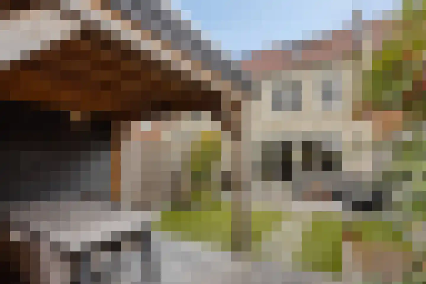 Veldoven 41 Veghel thumbnail 24