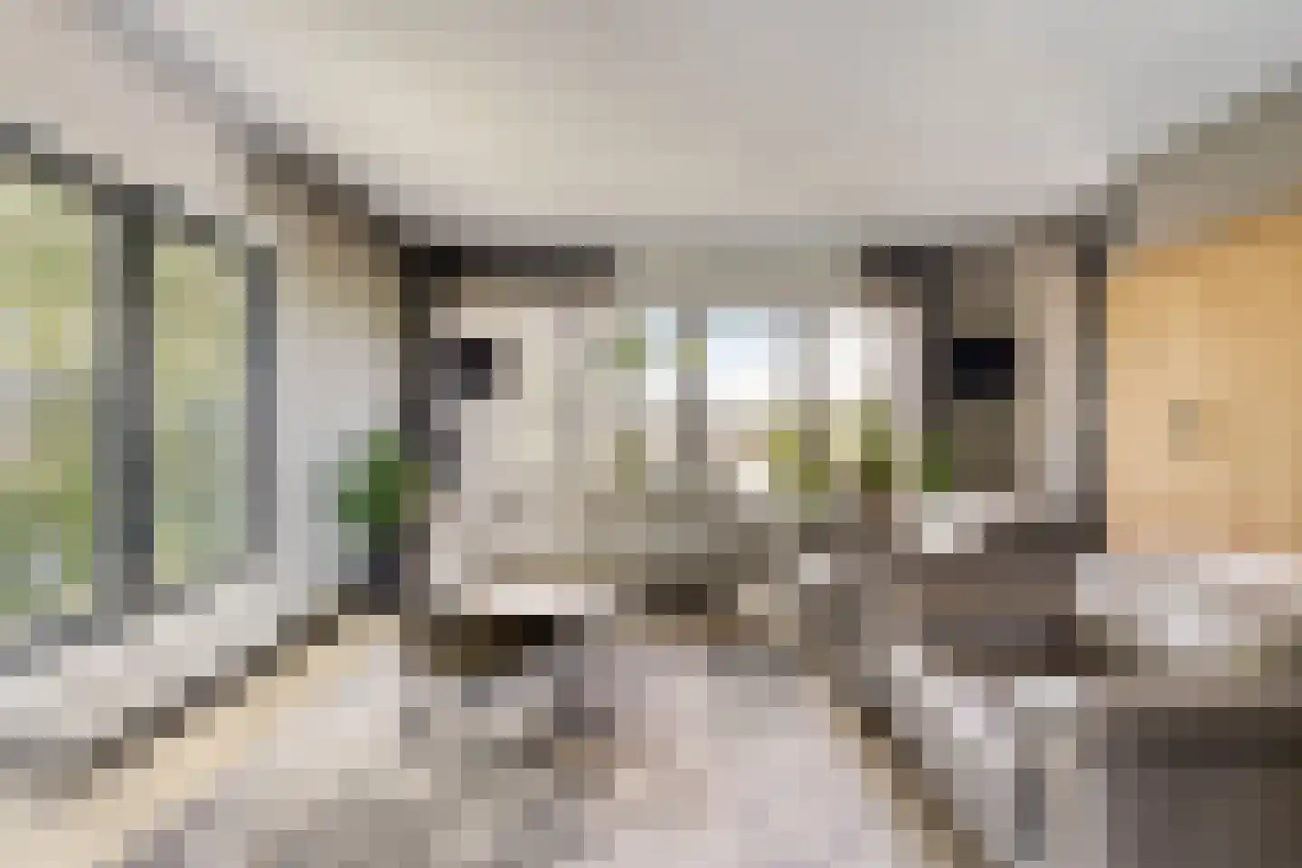 Veldoven 53 Cuijk thumbnail 10