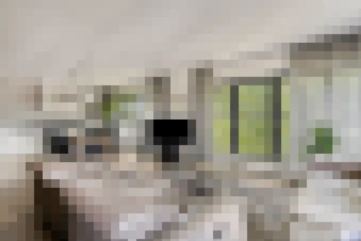 Veldoven 53 Cuijk thumbnail 11