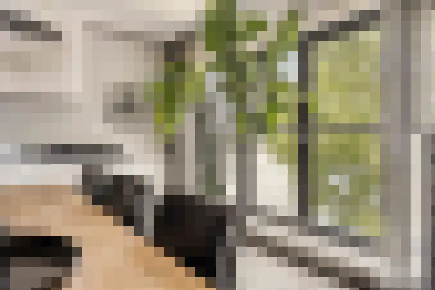 Veldoven 53 Cuijk thumbnail 15