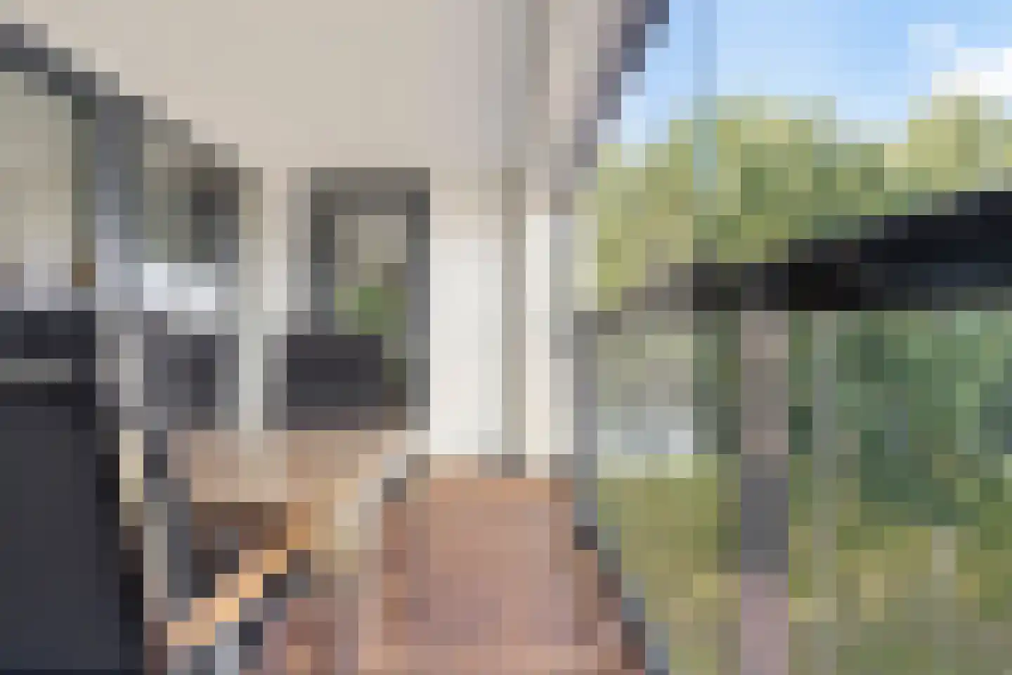 Veldoven 53 Cuijk thumbnail 41
